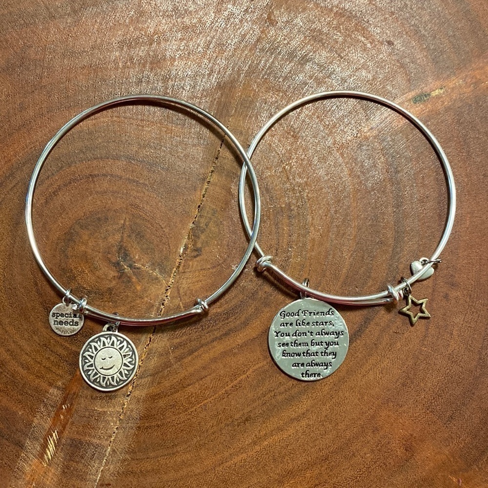 ALEX and Ani Friends and Special needs Charm Silver‎ Bangle Bracelet 2 pack